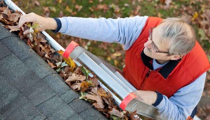 Ladder For Cleaning Gutters