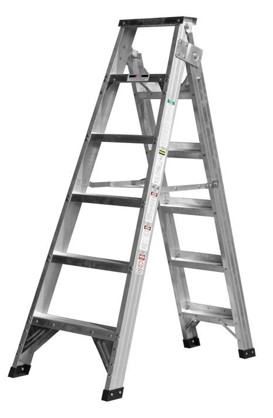 Folding Ladder